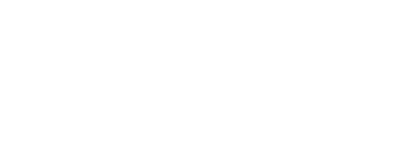 The Bridge 2019